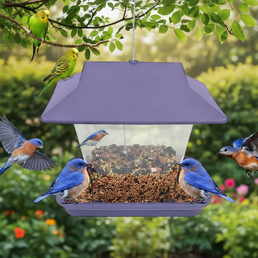 Comedero Y Frutero Para Pájaros Silvestres Modelo Casita Violeta