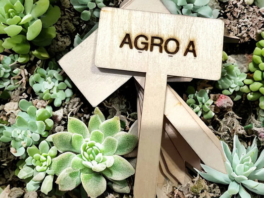 Identificadores De Plantas En Bambú Modelo Rectangular X10 Marrón Claro Rectangular