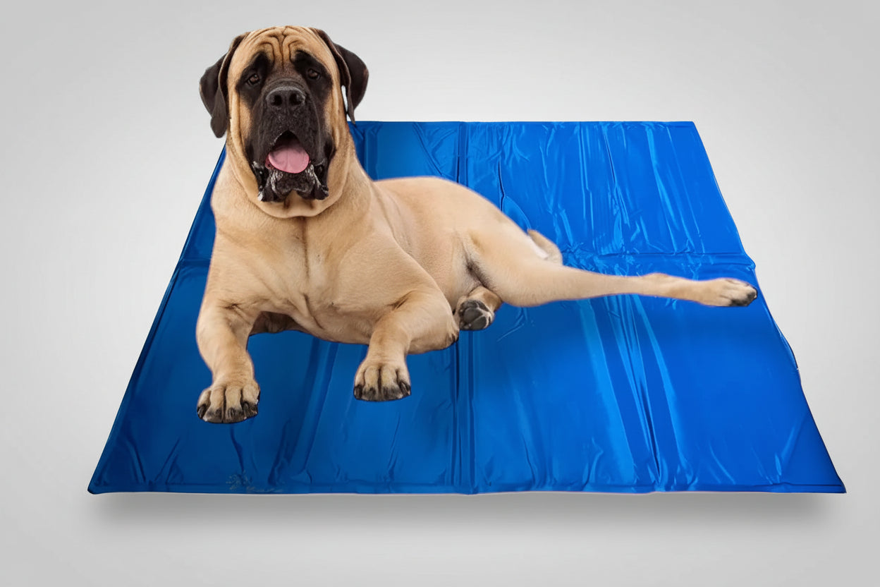 Cama Agro-a Refrigerante 80x120cm Con Gel Frío N°6 Azul Refrigerante Automatico