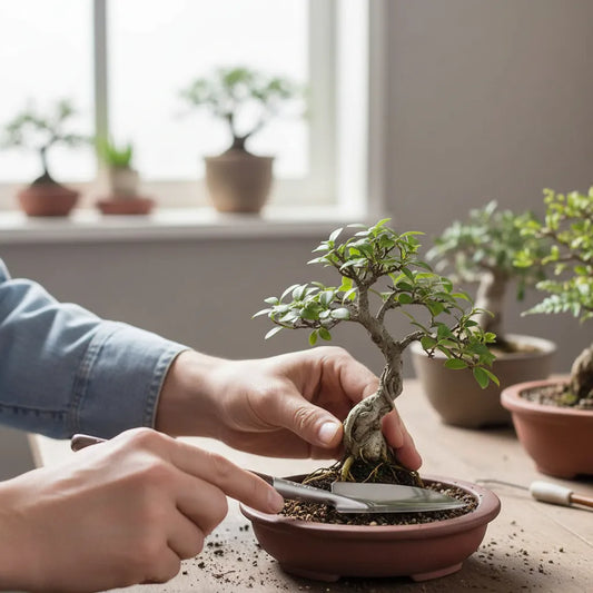 Juego de 3 Mini Palitas en Acero Inoxidable