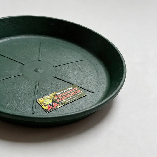 Plato Para Maceta Plástico Verde 24 Cms.