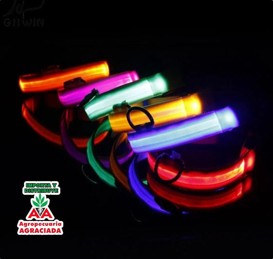 Collar Para Perros Con Iluminación Led