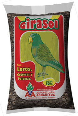 Girasol para loros