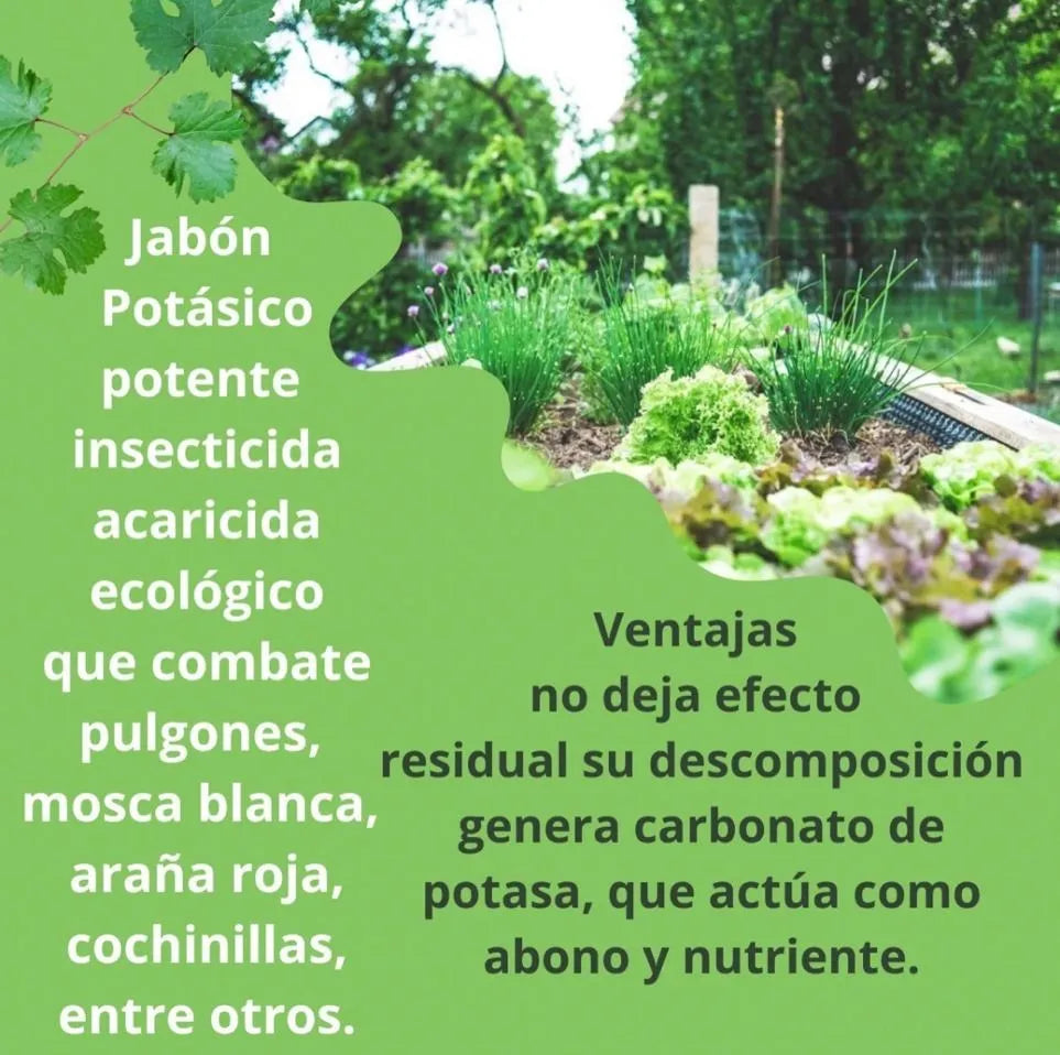 Jabon Potasico A A X 100 Grs.