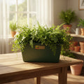 Maceta Jardinera Exterior Interior Terracota O Verde 30 Cms