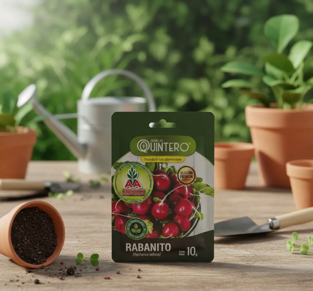 Semillas Rabanito Para Cultivo (10g) 100% Natural Orgánica