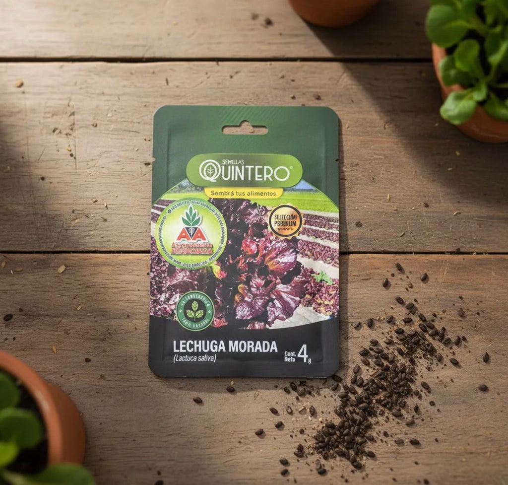 Semillas De Lechuga Morada Para Cultivo (4g) Agro A