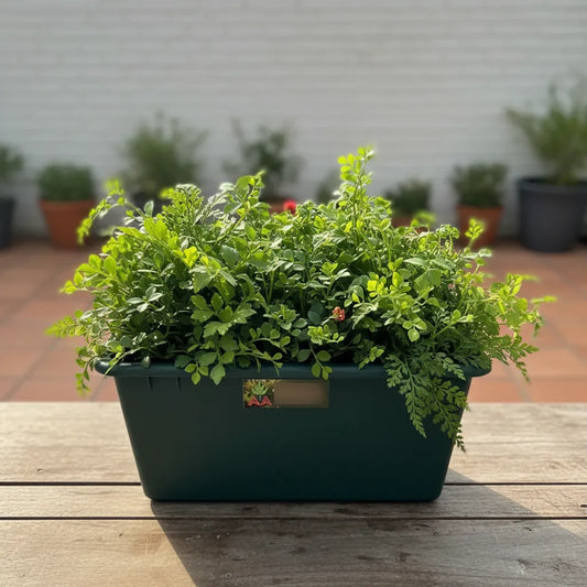 Maceta Jardinera Exterior Interior Terracota O Verde 40 Cms