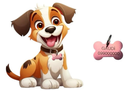 Chapitas Placas Identificadoras De Mascotas Grabadas Laser