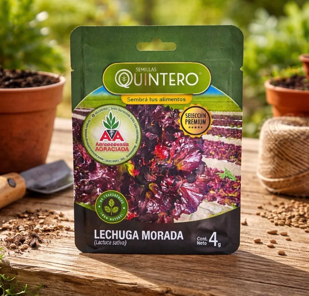 Semillas De Lechuga Morada Para Cultivo (4g) Agro A