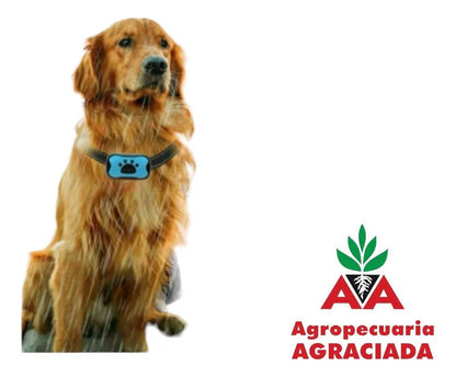 Collar Anti Ladrido Para Perros Vibración Y Sonido Usb Negro
