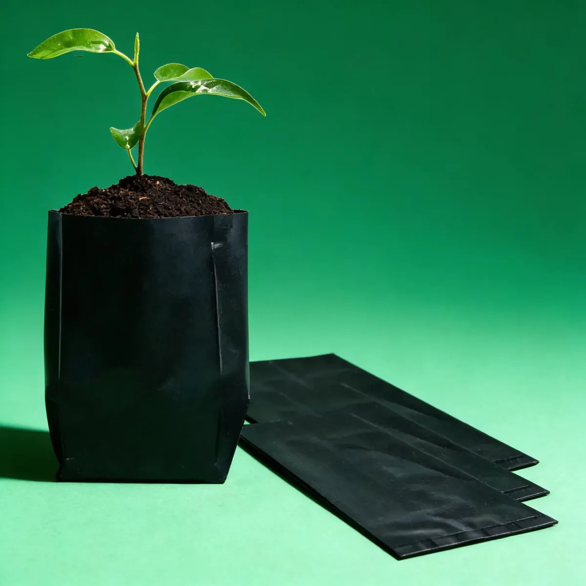 Macetas Bolsa Nylon Negras Vivero Plantas 1 - 25 Lts. (x50u)