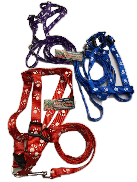 Collar Doble Pretal de Cinta Con Correa Nº3