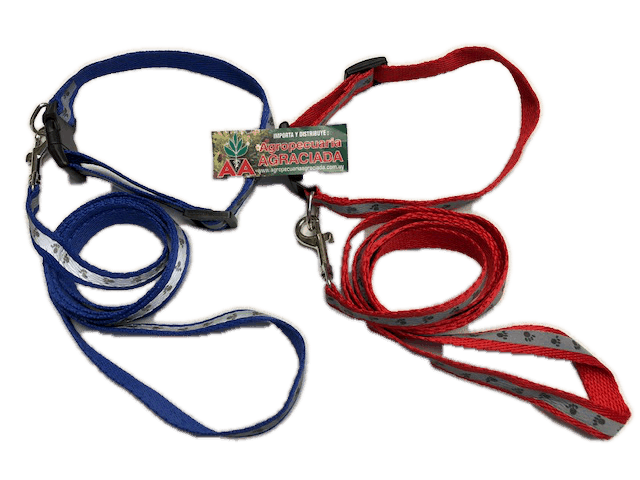 Correa con Collar Mini Reflectivo