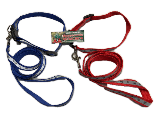 Correa con Collar Mini Reflectivo