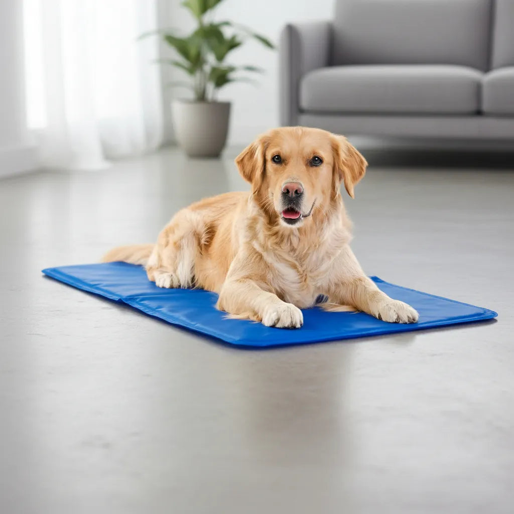 Cama Refrigerante Automático Agro-a 50x90 Modelo N°4 Azul Refrigerante Automatico