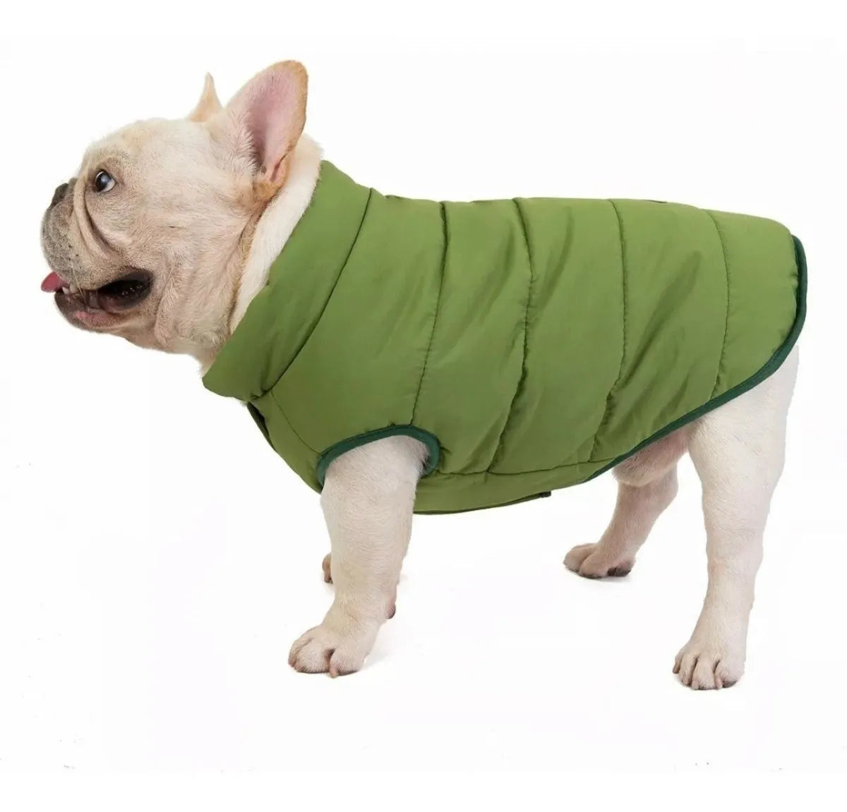 Ropa Capa Abrigo- Perro Mascota Impermeable Forro Polar Azul Verde