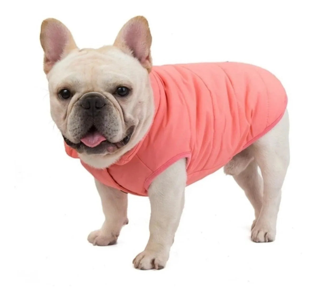 Ropa Capa Abrigo- Perro Mascota Impermeable Forro Polar Azul Verde