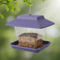 Comedero Y Frutero Para Pájaros Silvestres Modelo Casita Violeta