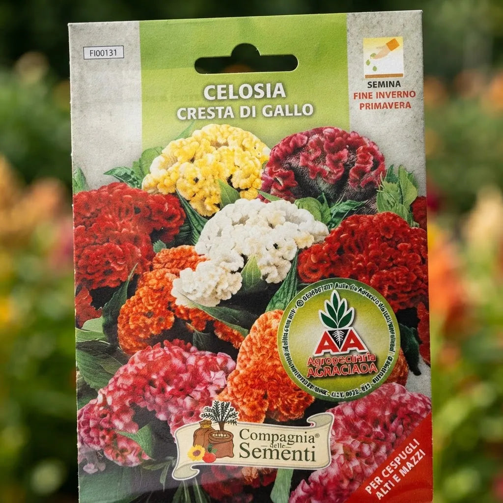 Semillas De Flores Celosia Plumosa Penacho Variadas Agro A