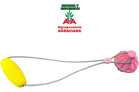 Juguete Para Perros Limpia Dientes Modelo Choclo Con Ventosa Elegir
