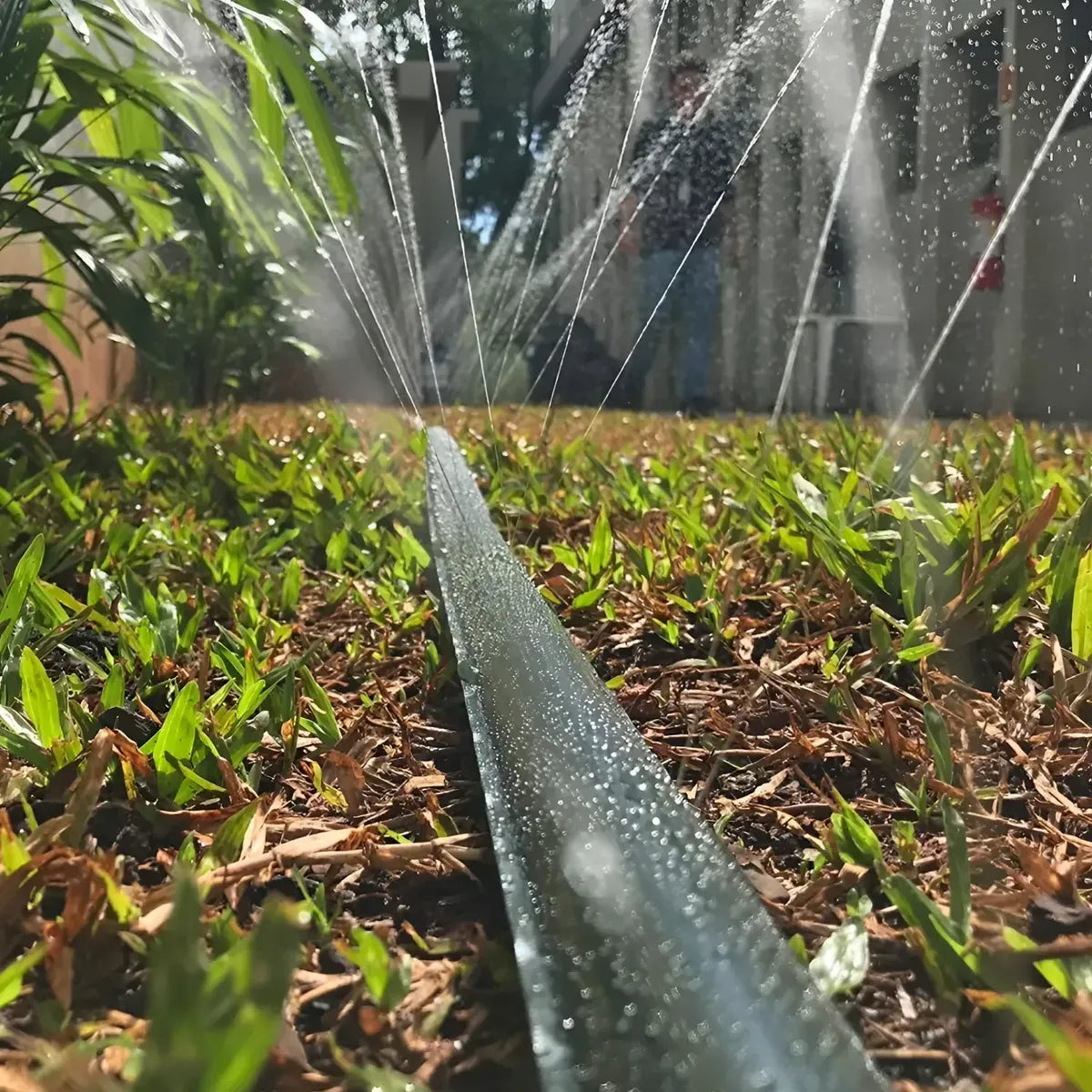 Cinta De Riego Gote Perforada Efecto Lluvia 20m y 200m + Conector