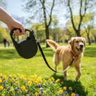 Correa Perro Extensible 3 Metros Reforzada Retráctil Rojo