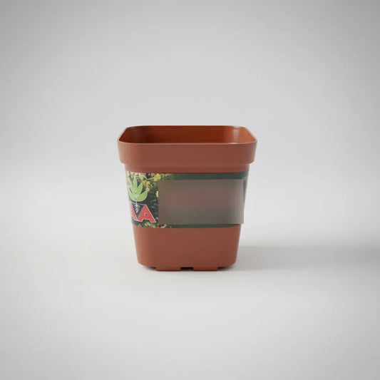 Maceta Para Tunas Suculentas Cuadradas 7 Cms Terracota X 10