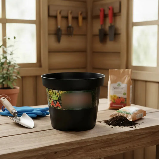 Maceta Para Tunas Suculentas Cilindrica 10 Cm Negra X 10