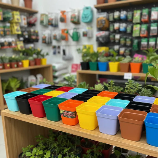 Maceta Para Tunas Suculentas Cuadradas 7 Cms Mix X 10 Unid