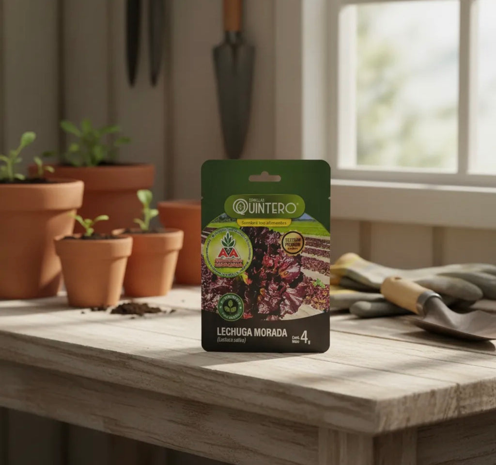 Semillas De Lechuga Morada Para Cultivo (4g) Agro A