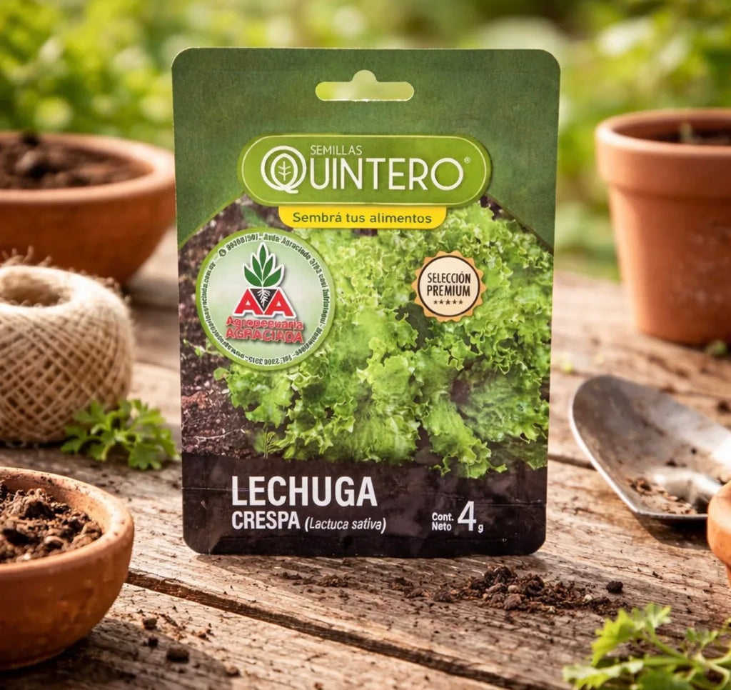 Semillas De Lechuga Crespa Para Cultivo (4g) Agro A