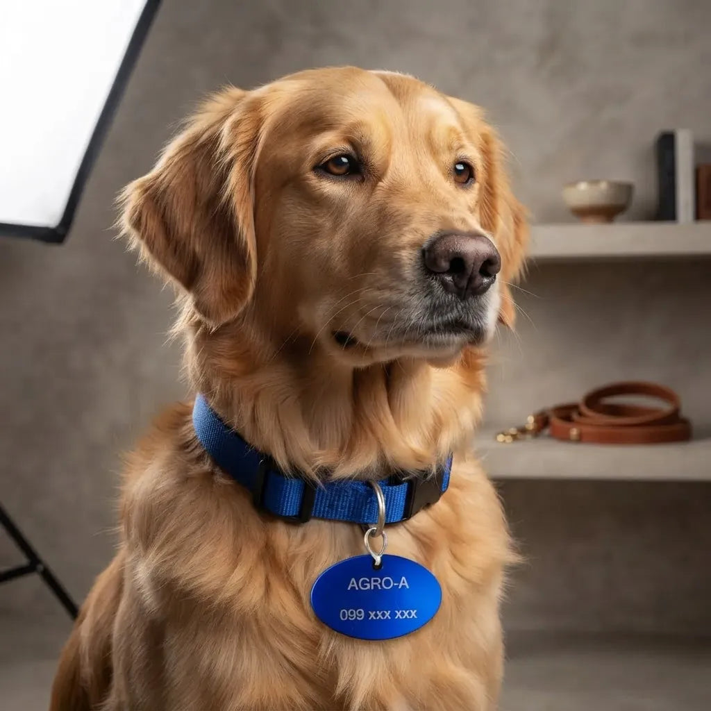 Chapita De Identificación Ovalada Para Mascotas Sin Grabado