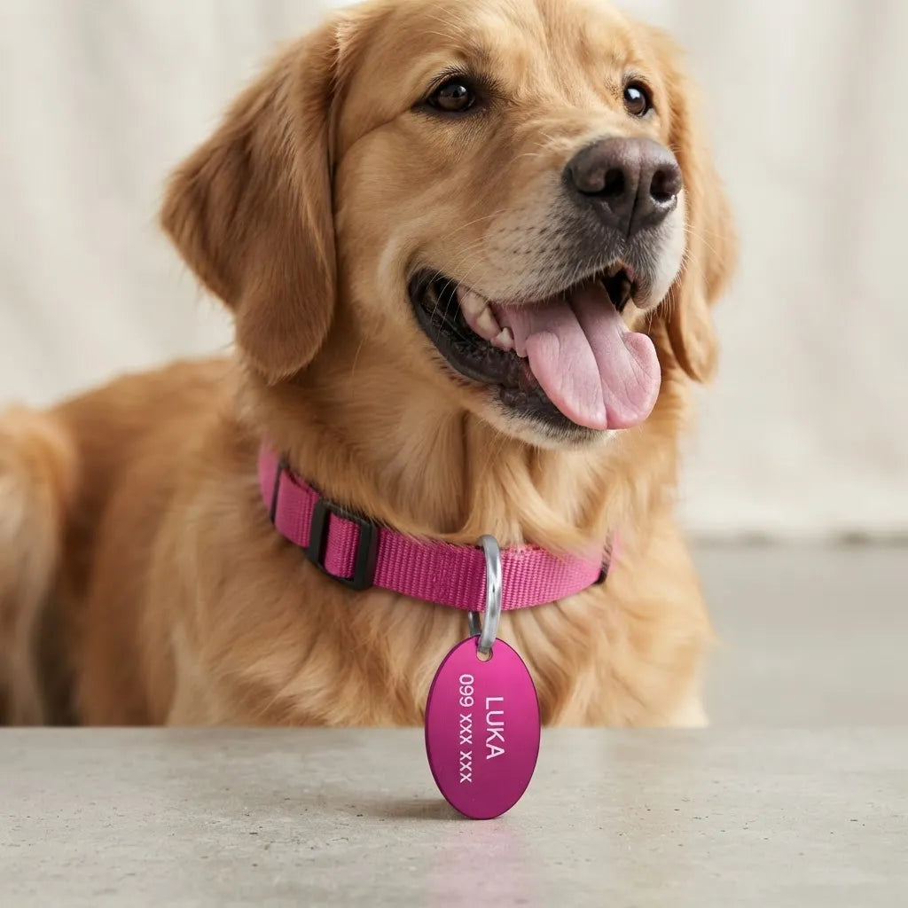 Chapita De Identificación Ovalada Para Mascotas Sin Grabado