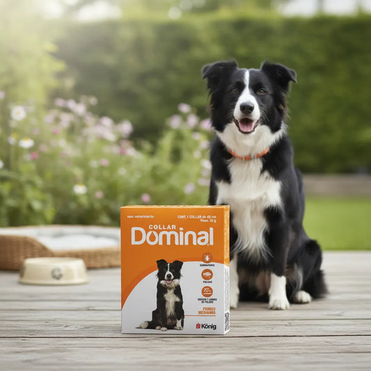Collar Antiparasitario Dominal Konig Para Perro 5-15kg Marrón Claro