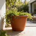 Maceta Plastica Exterior Interior Modelo Elegant 14 Cms