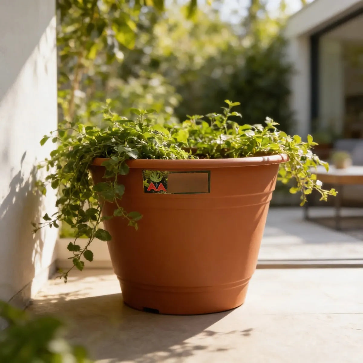 Maceta Plastica Exterior Interior Modelo Elegant 14 Cms