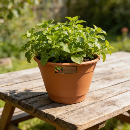 Maceta Plastica Exterior Interior Modelo Elegant 30 Cms