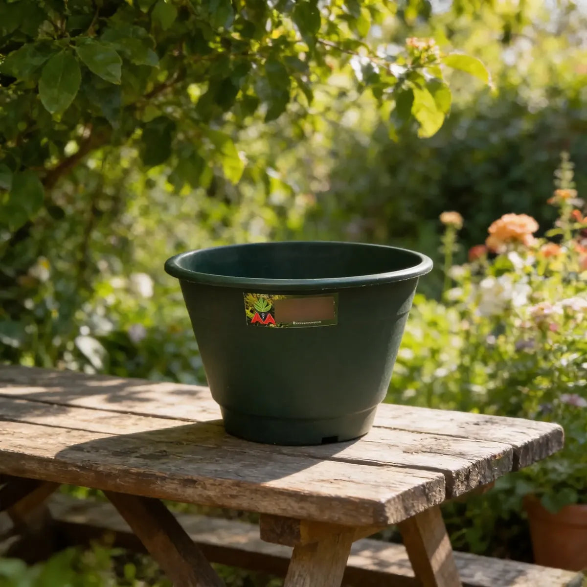 Maceta Plastica Exterior Interior Modelo Elegant 14 Cms