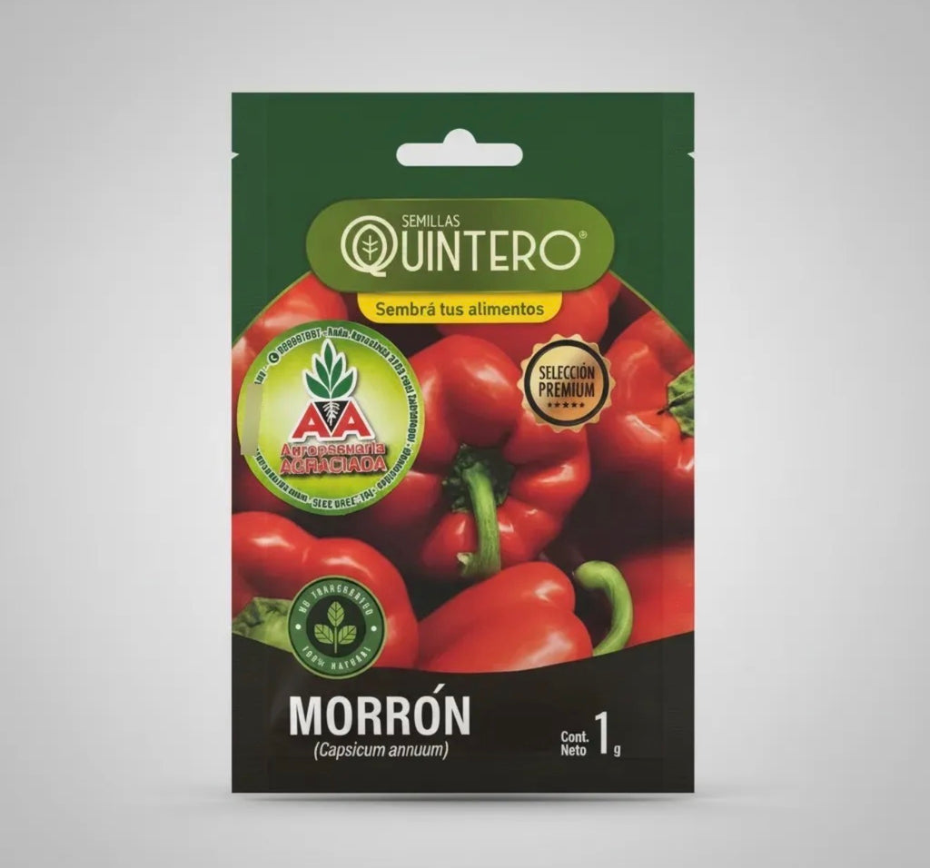 Semillas Morrón No Transgénica 100% Natural Orgánica Agro A