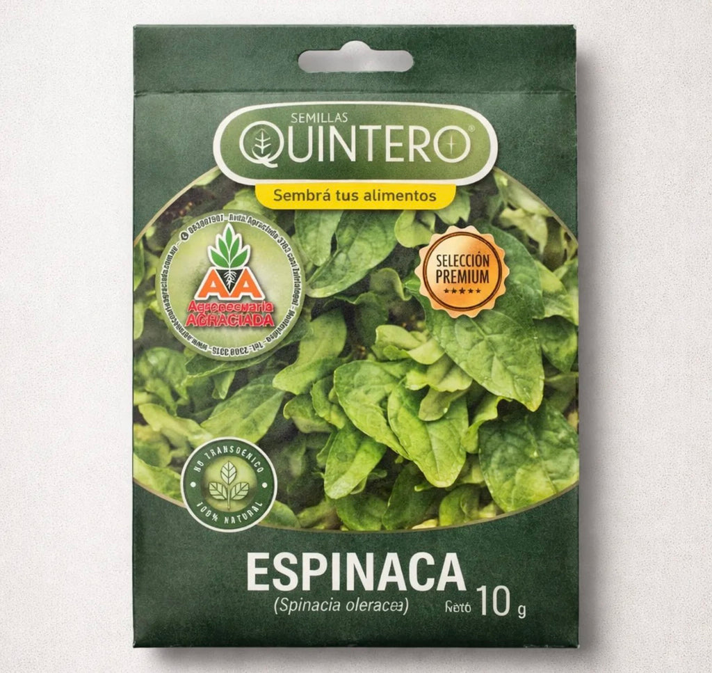 Semillas Espinaca No Transgénica 100% Natural Orgánica Agroa