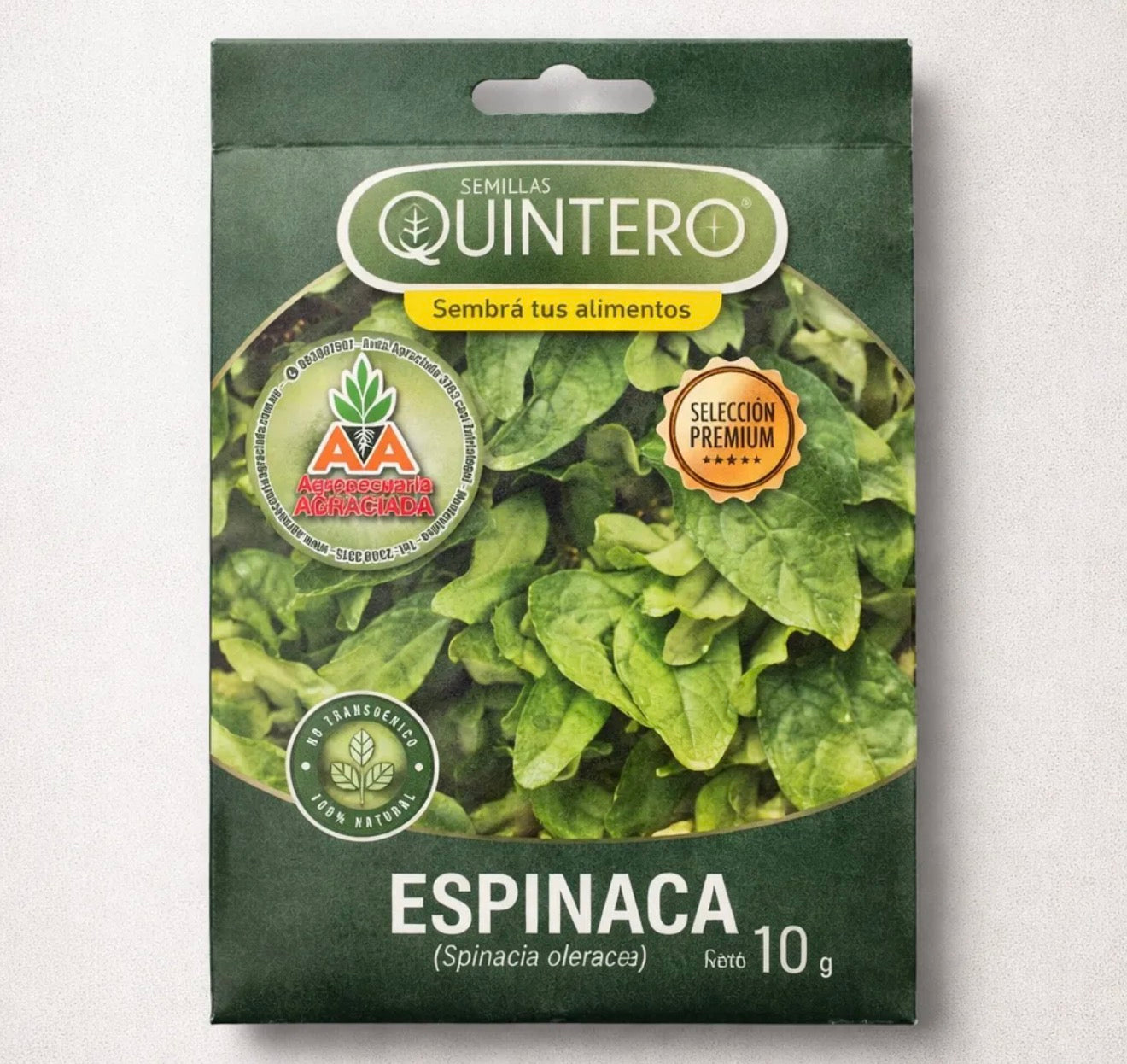 Semillas Espinaca No Transgénica 100% Natural Orgánica Agroa
