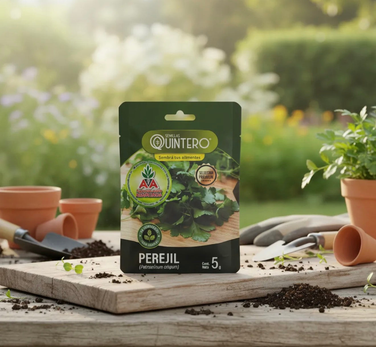 Semillas Perejíl No Transgénica 100% Natural Orgánica Agro A