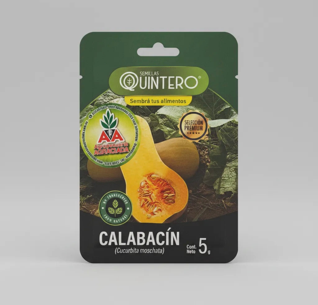 Semillas De Calabacin No Transgénica 100% Natural Orgánica