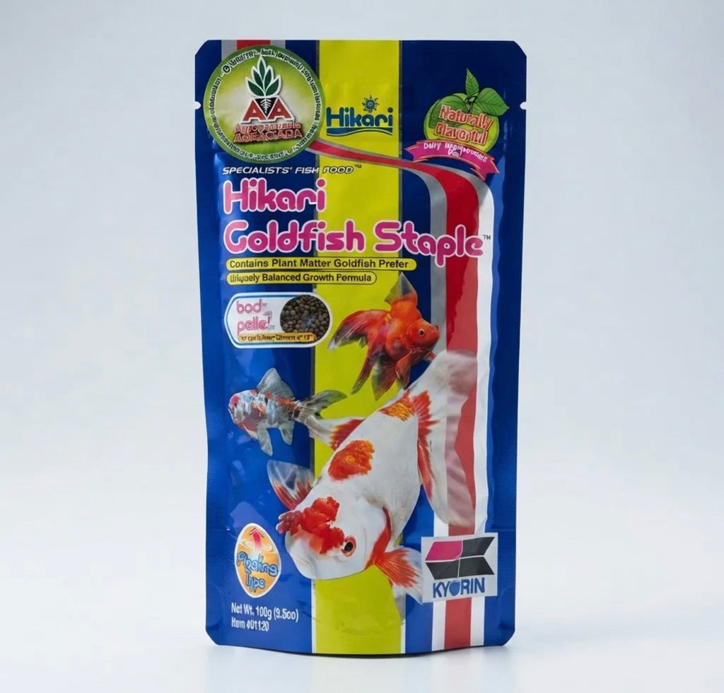 Hikari Goldfish Staple Mini Pellet 100g Alimento Premium Aa