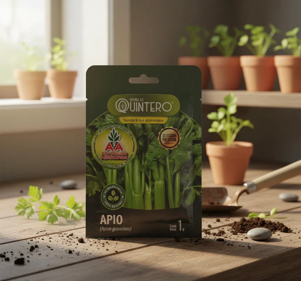Semillas De Apio No Transgénica 100% Natural Orgánica Agro A