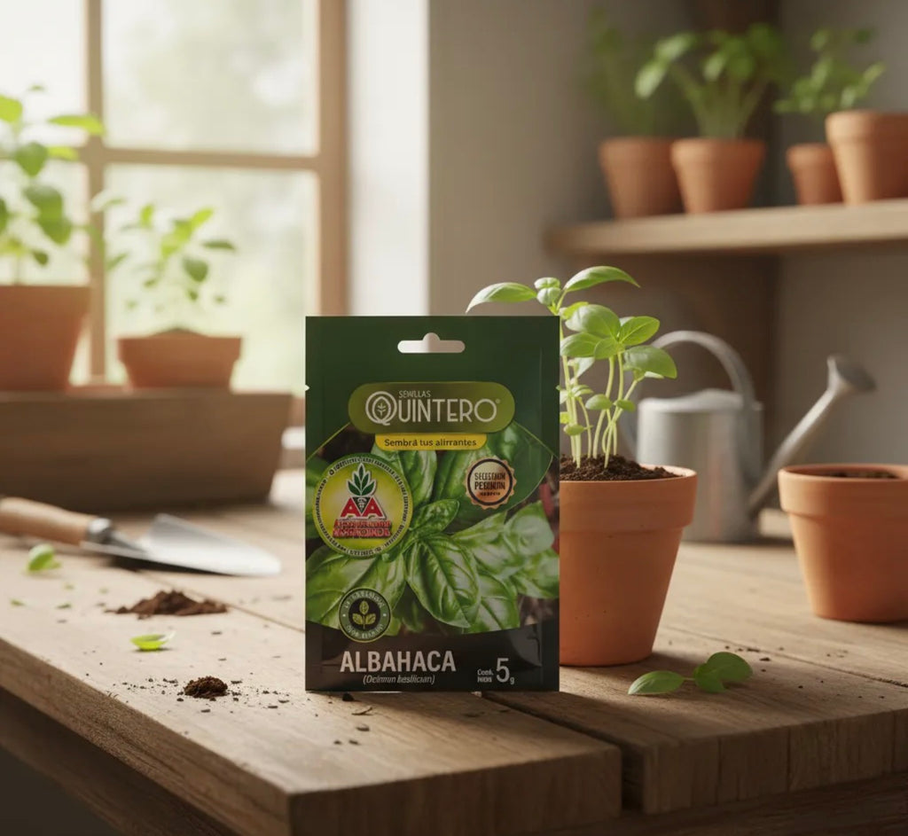 Semillas De Albahaca Para Cultivo (5g) Agro A