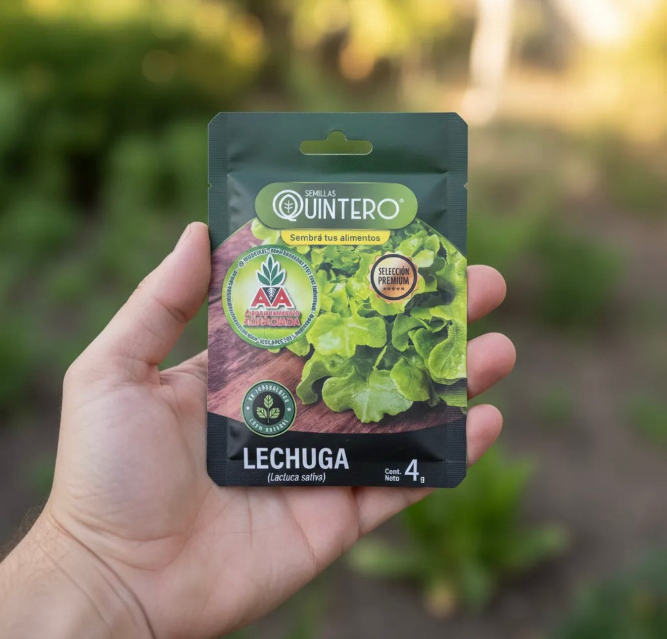 Semillas De Lechuga Manteca Para Cultivo (4g) Agro A