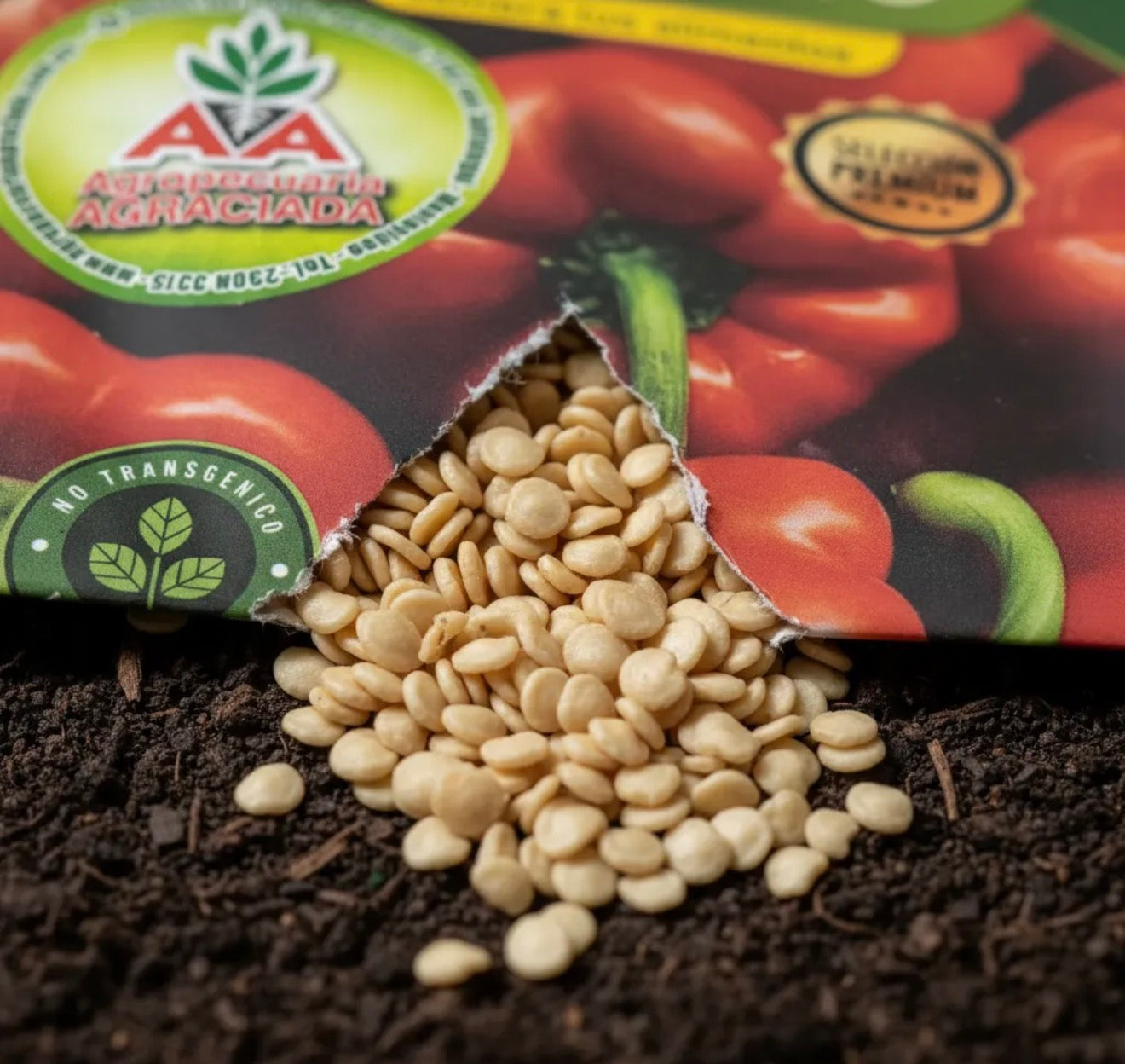 Semillas Morrón No Transgénica 100% Natural Orgánica Agro A