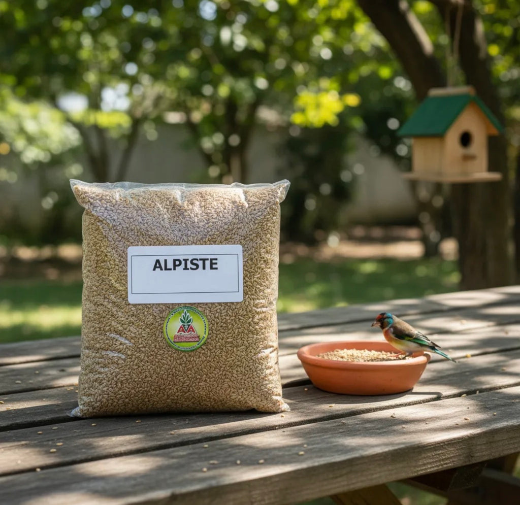 Alpiste Para Aves X 1 Kg Agro A
